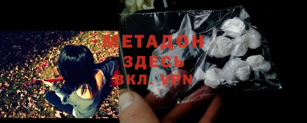 индика Алексин