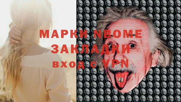 индика Алексин