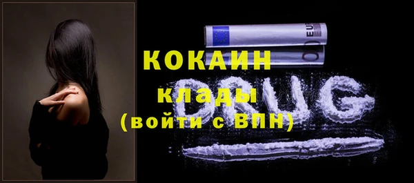 индика Алексин