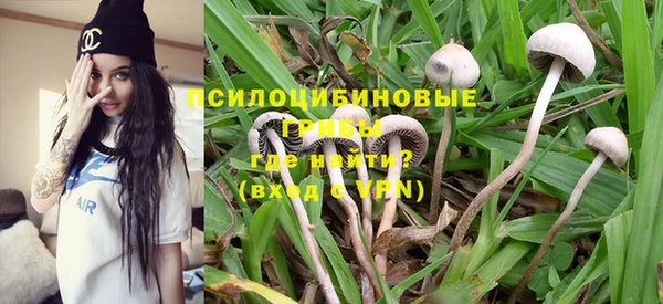 индика Алексин