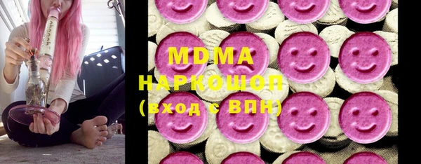индика Алексин