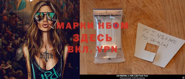 индика Алексин