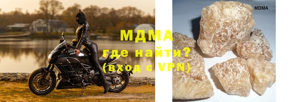индика Алексин