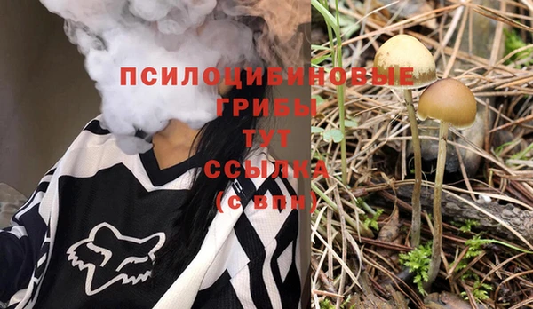 сатива Алексеевка